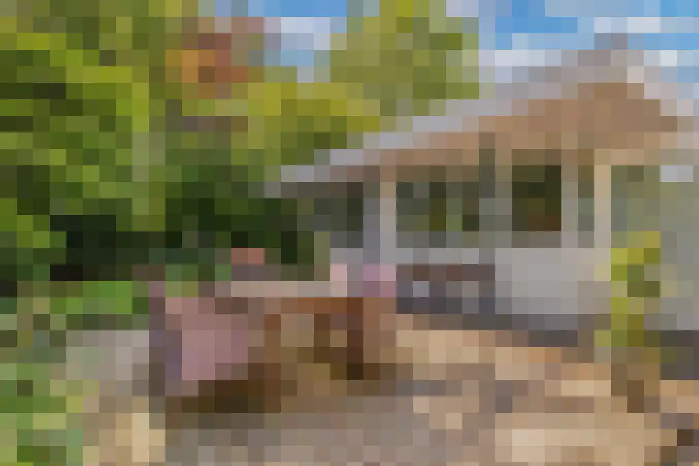 Steenwijkerweg 26 Wolvega thumbnail 47