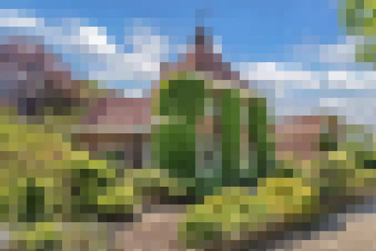 Steenwijkerweg 26 Wolvega thumbnail 56