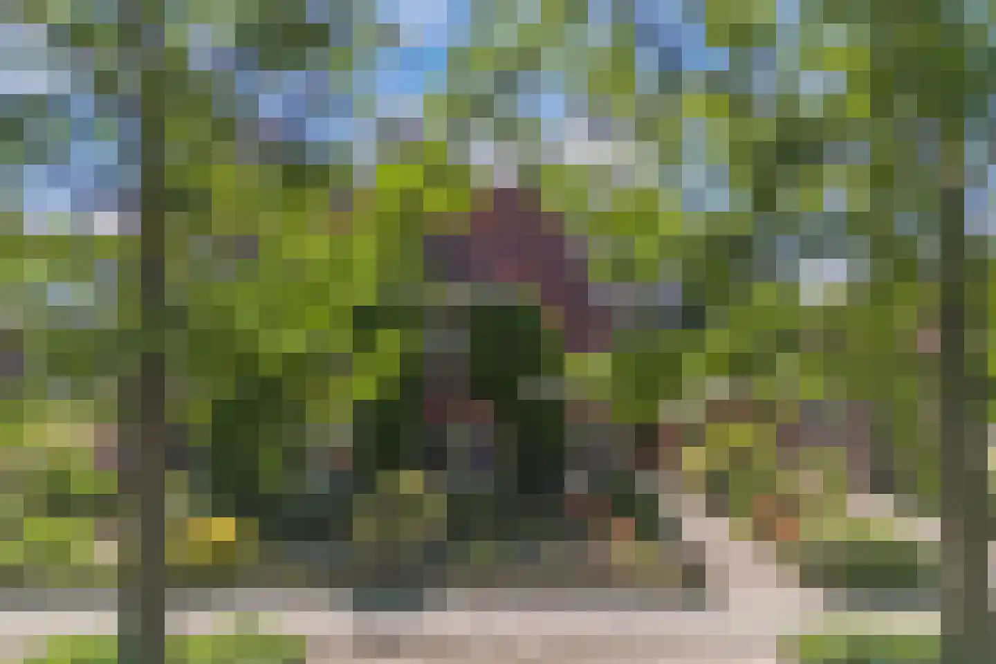 Steenwijkerweg 26 Wolvega thumbnail 57