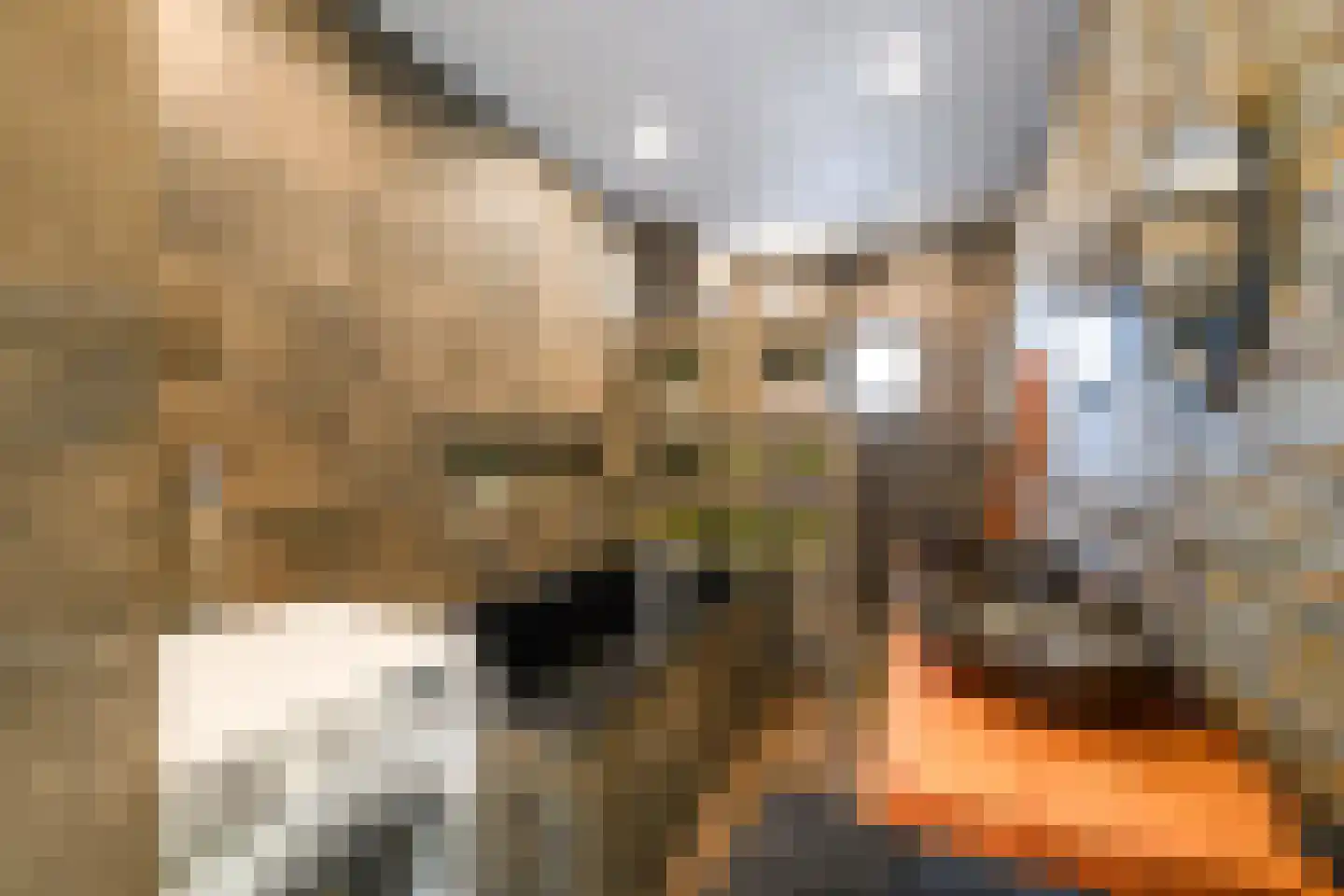Steenwijkerweg 28 De Blesse thumbnail 13