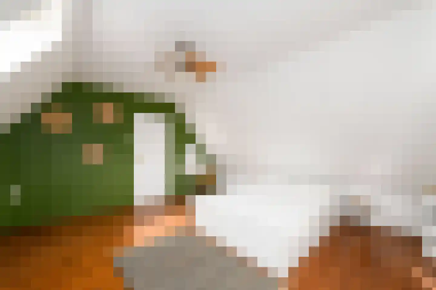 Steenwijkerweg 28 De Blesse thumbnail 18