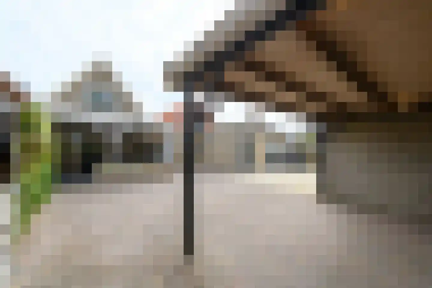 Steenwijkerweg 28 De Blesse thumbnail 31