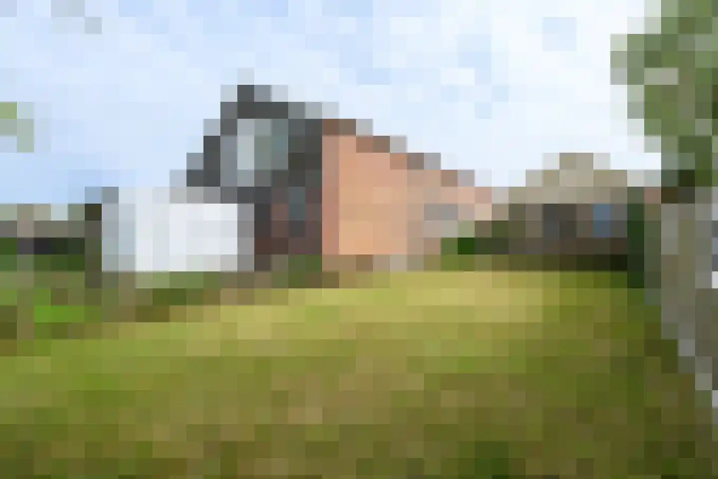 Steenwijkerweg 28 De Blesse thumbnail 32