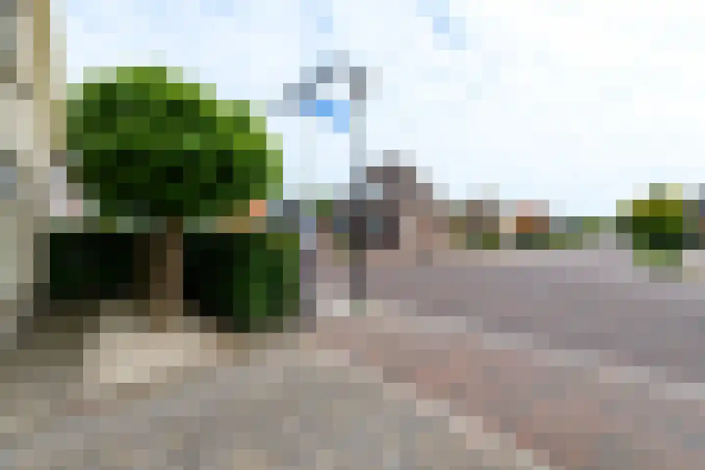 Steenwijkerweg 28 De Blesse thumbnail 38