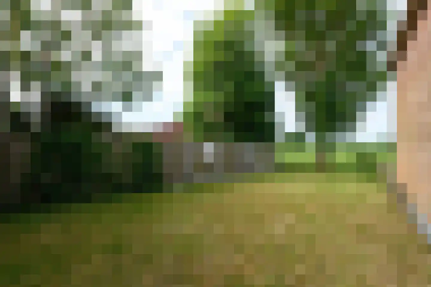 Steenwijkerweg 28 De Blesse thumbnail 4