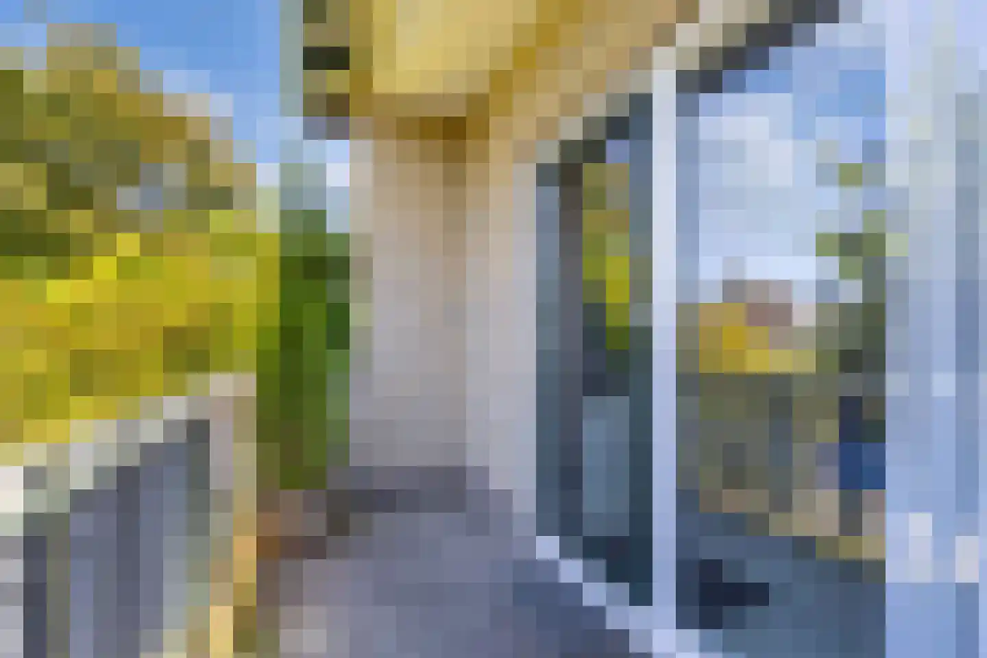 Steenwijkerweg 39 Wolvega thumbnail 35