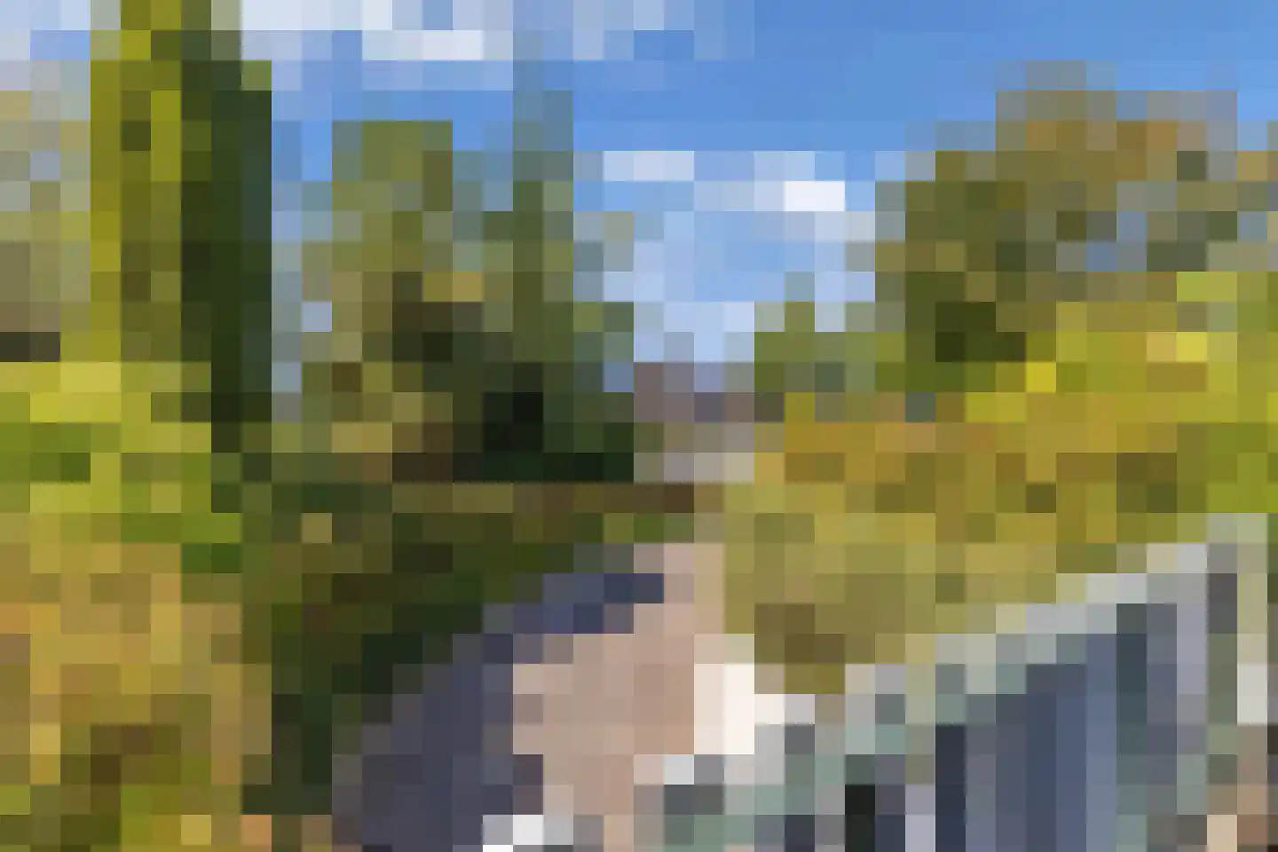 Steenwijkerweg 39 Wolvega thumbnail 36