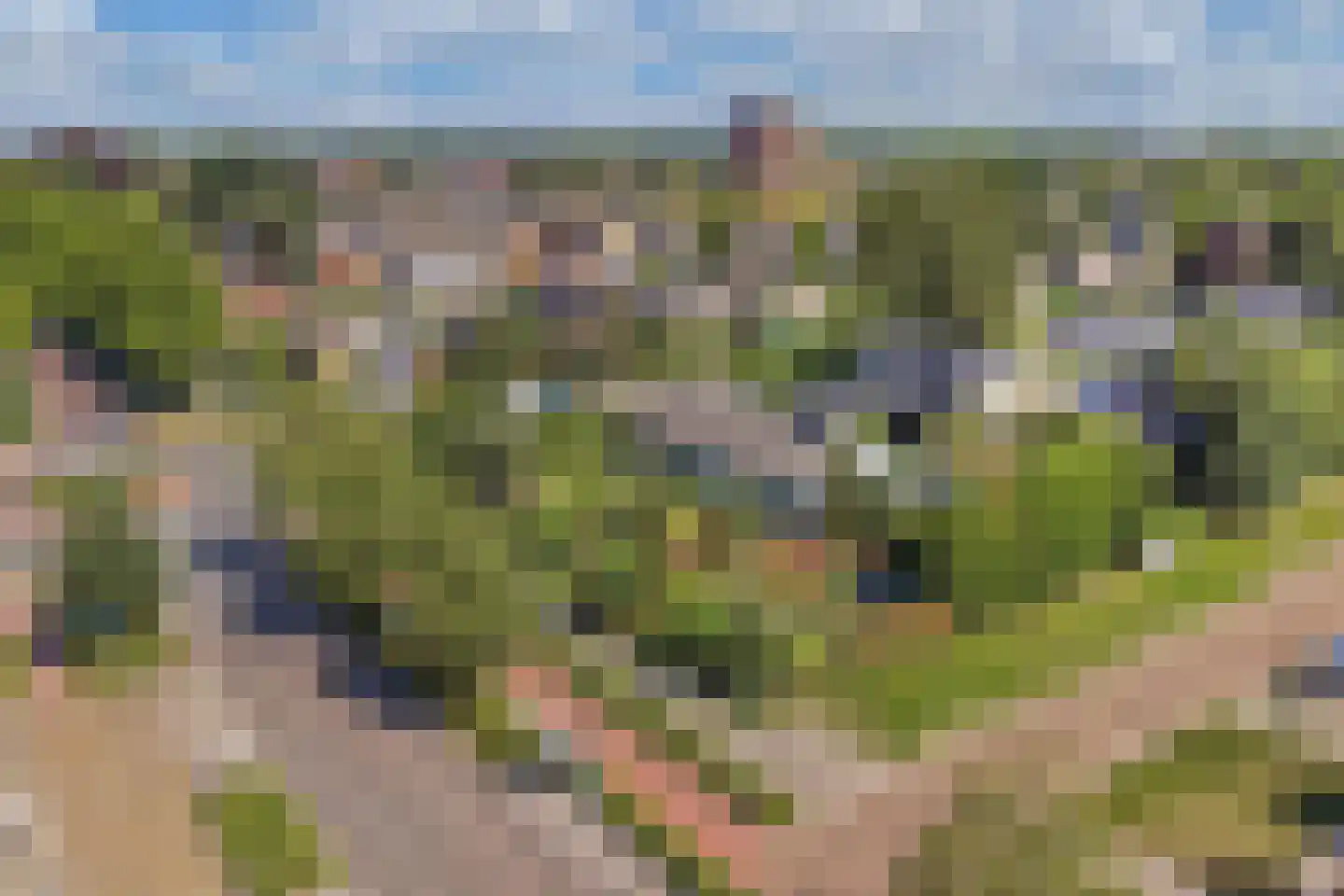 Steenwijkerweg 39 Wolvega thumbnail 4
