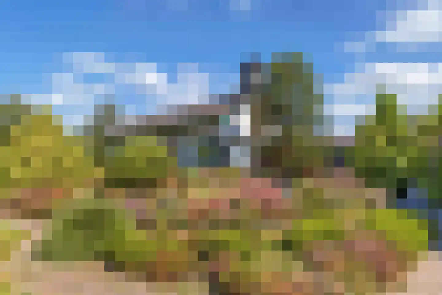 Steenwijkerweg 39 Wolvega thumbnail 5