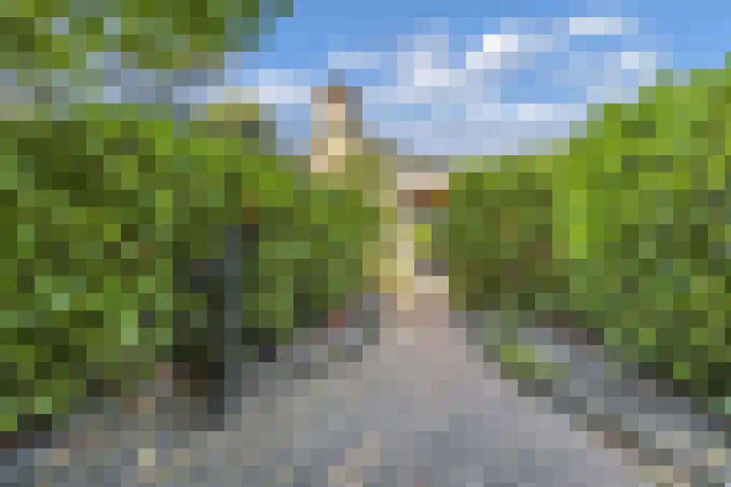 Steenwijkerweg 39 Wolvega thumbnail 63