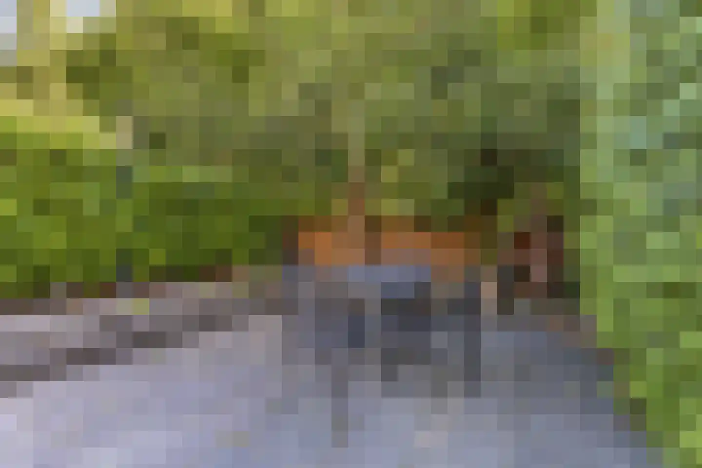 Steenwijkerweg 39 Wolvega thumbnail 64
