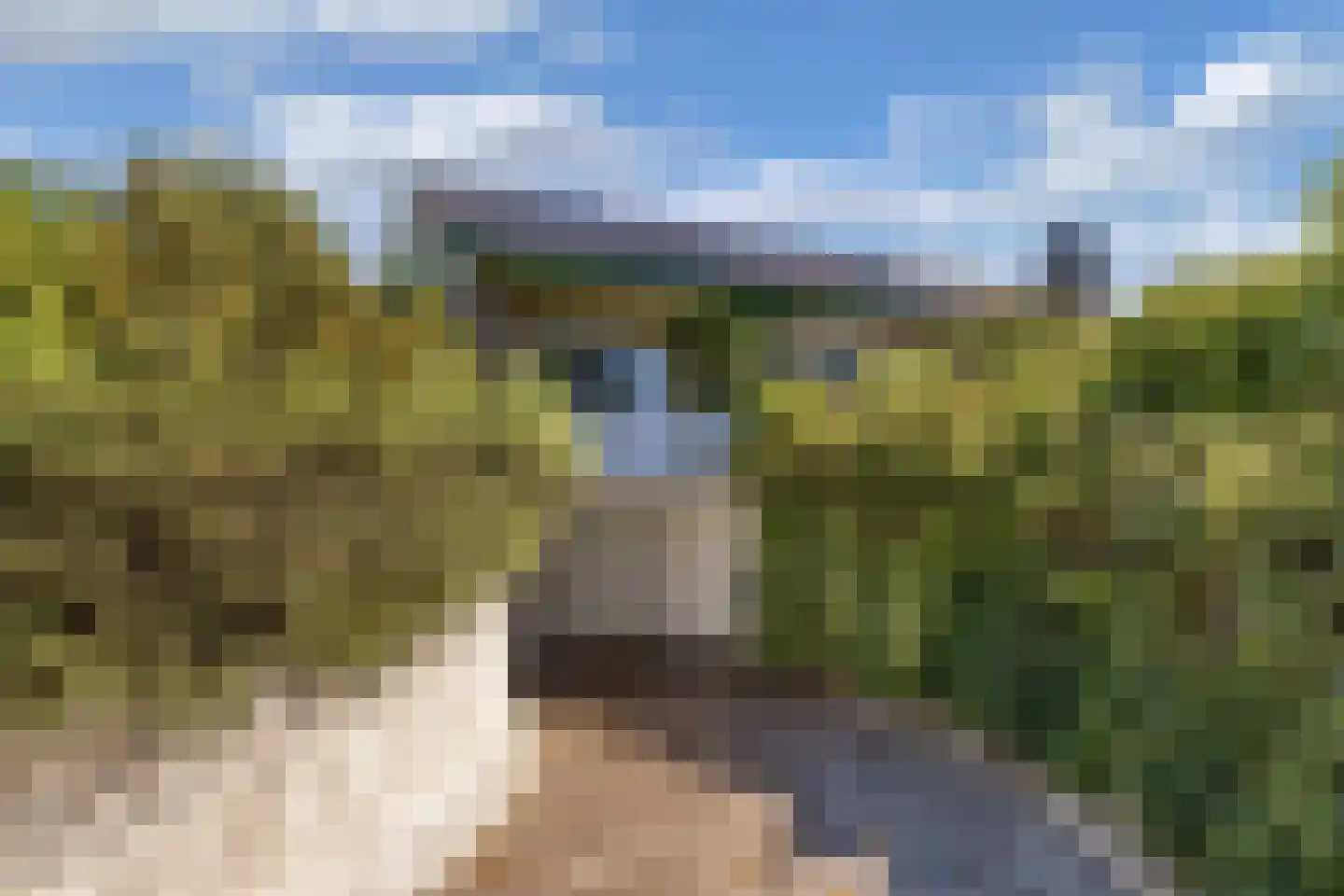 Steenwijkerweg 39 Wolvega thumbnail 7
