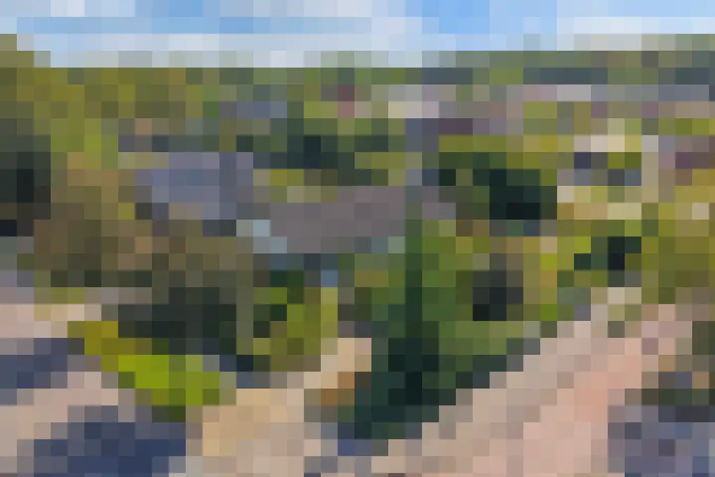 Steenwijkerweg 39 Wolvega thumbnail 8