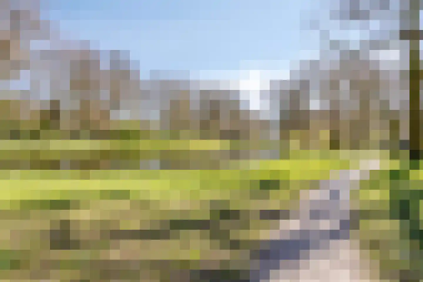 Steenwijkerweg 42 Wolvega thumbnail 41