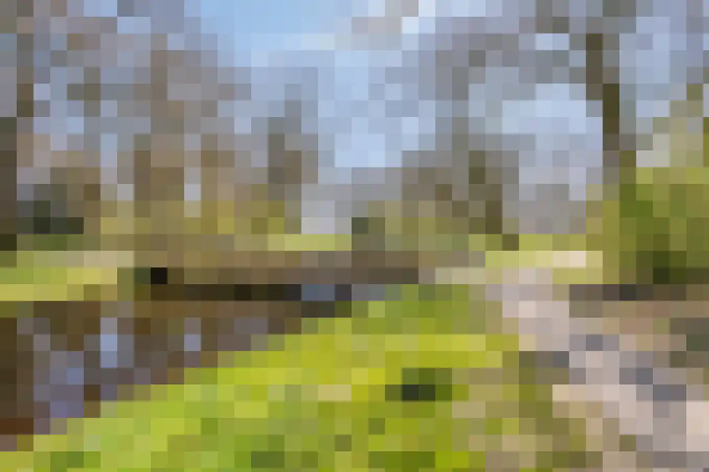 Steenwijkerweg 42 Wolvega thumbnail 42