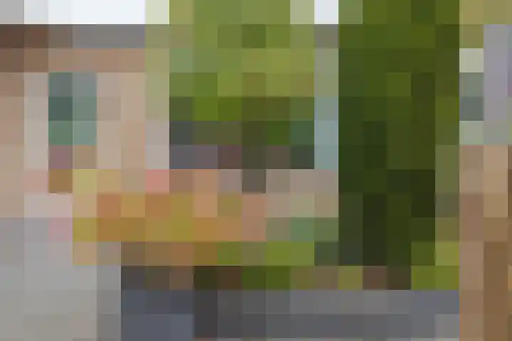 Steenwijkerweg 50 Wolvega thumbnail 31