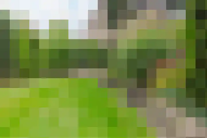 Steenwijkerweg 50 Wolvega thumbnail 33