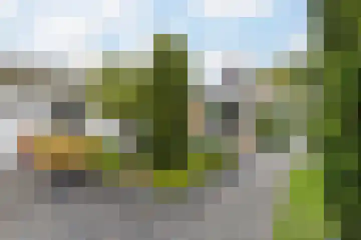 Steenwijkerweg 50 Wolvega thumbnail 34