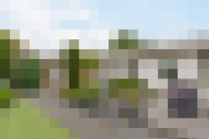 Steenwijkerweg 50 Wolvega thumbnail 35