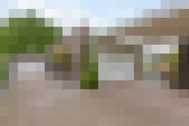 Steenwijkerweg 50 Wolvega thumbnail 37