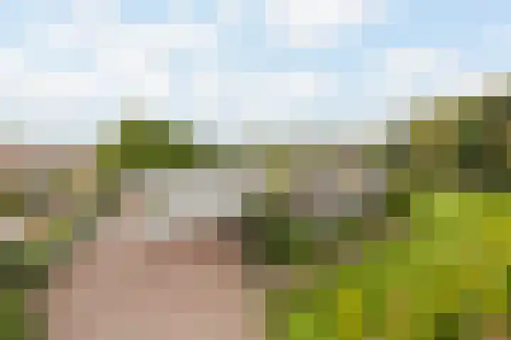 Steenwijkerweg 50 Wolvega thumbnail 38