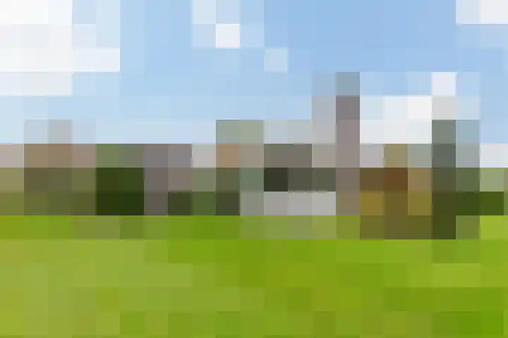 Steenwijkerweg 50 Wolvega thumbnail 4