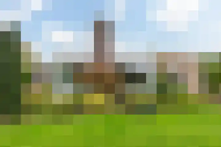 Steenwijkerweg 50 Wolvega thumbnail 5