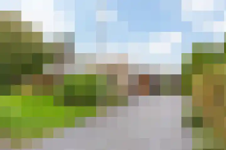 Steenwijkerweg 50 Wolvega thumbnail 6
