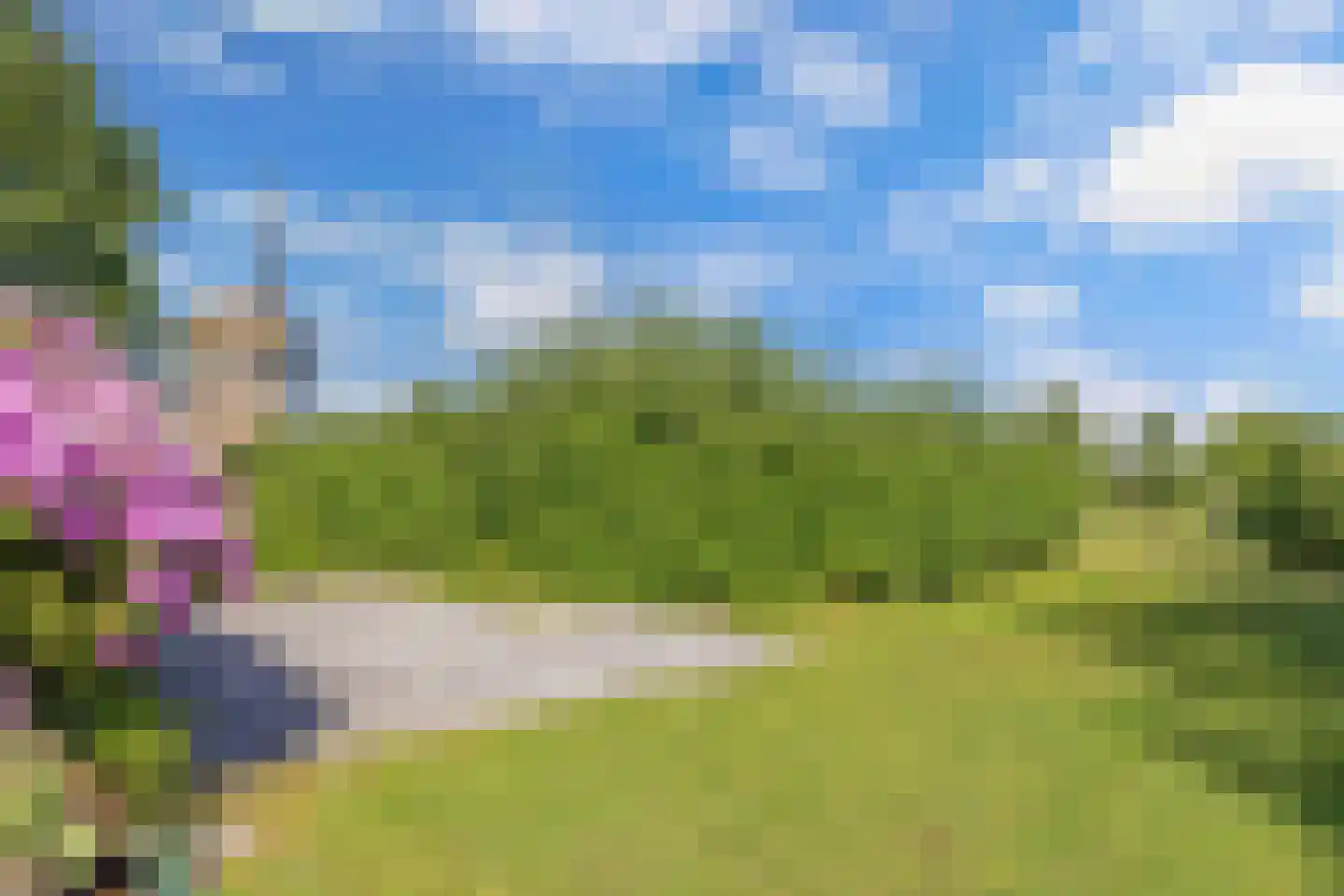 Steenwijkerweg 74 R2 Wolvega thumbnail 10