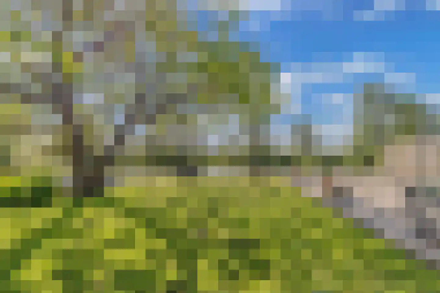 Steenwijkerweg 74 R2 Wolvega thumbnail 11