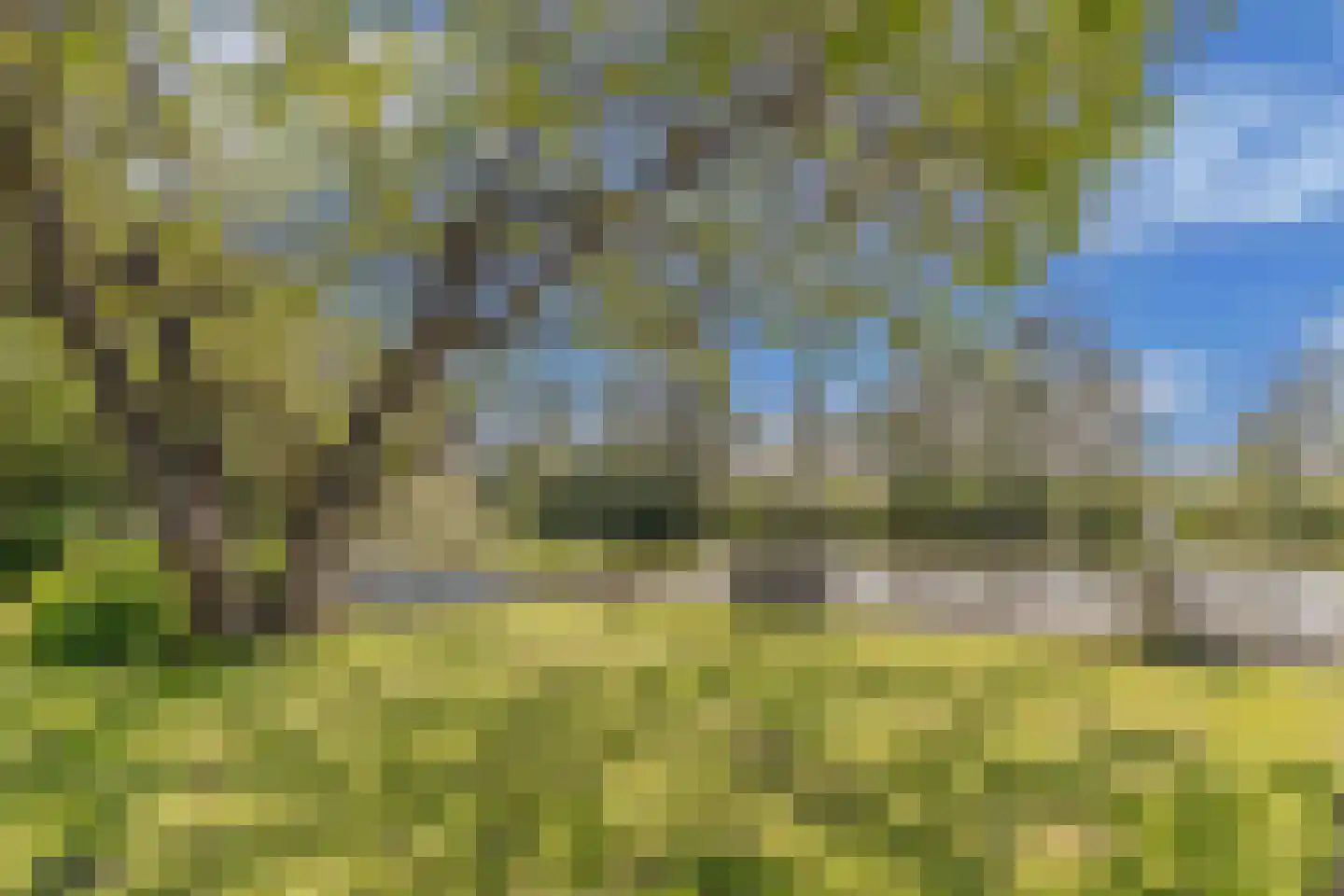 Steenwijkerweg 74 R2 Wolvega thumbnail 13
