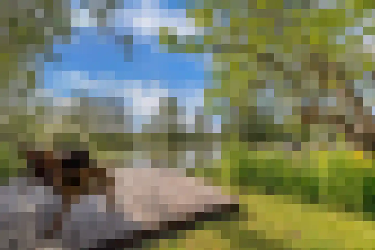 Steenwijkerweg 74 R2 Wolvega thumbnail 15