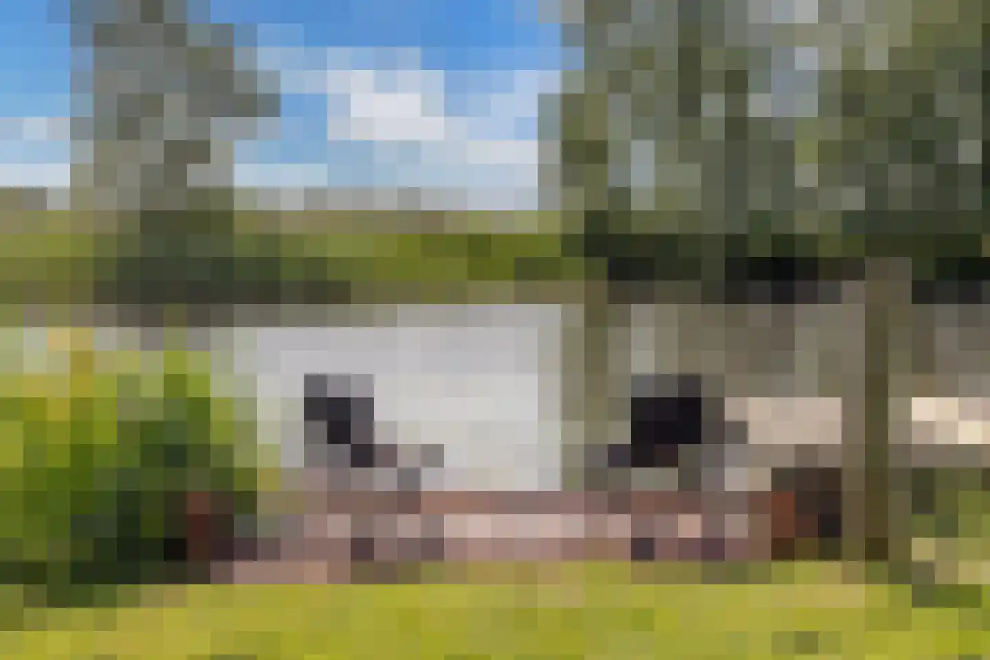Steenwijkerweg 74 R2 Wolvega thumbnail 18