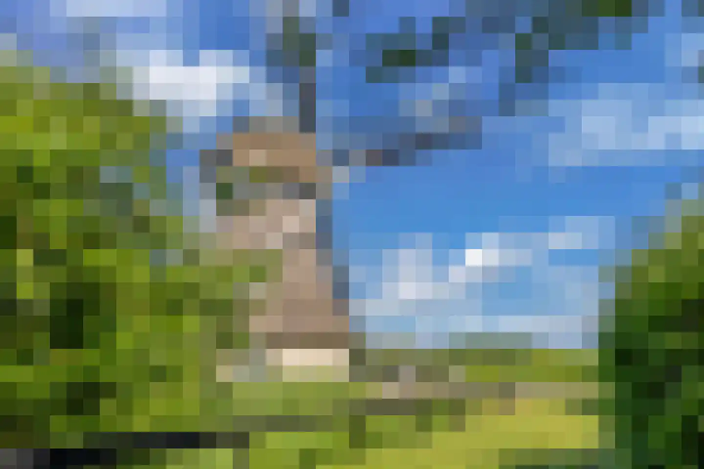 Steenwijkerweg 74 R2 Wolvega thumbnail 19