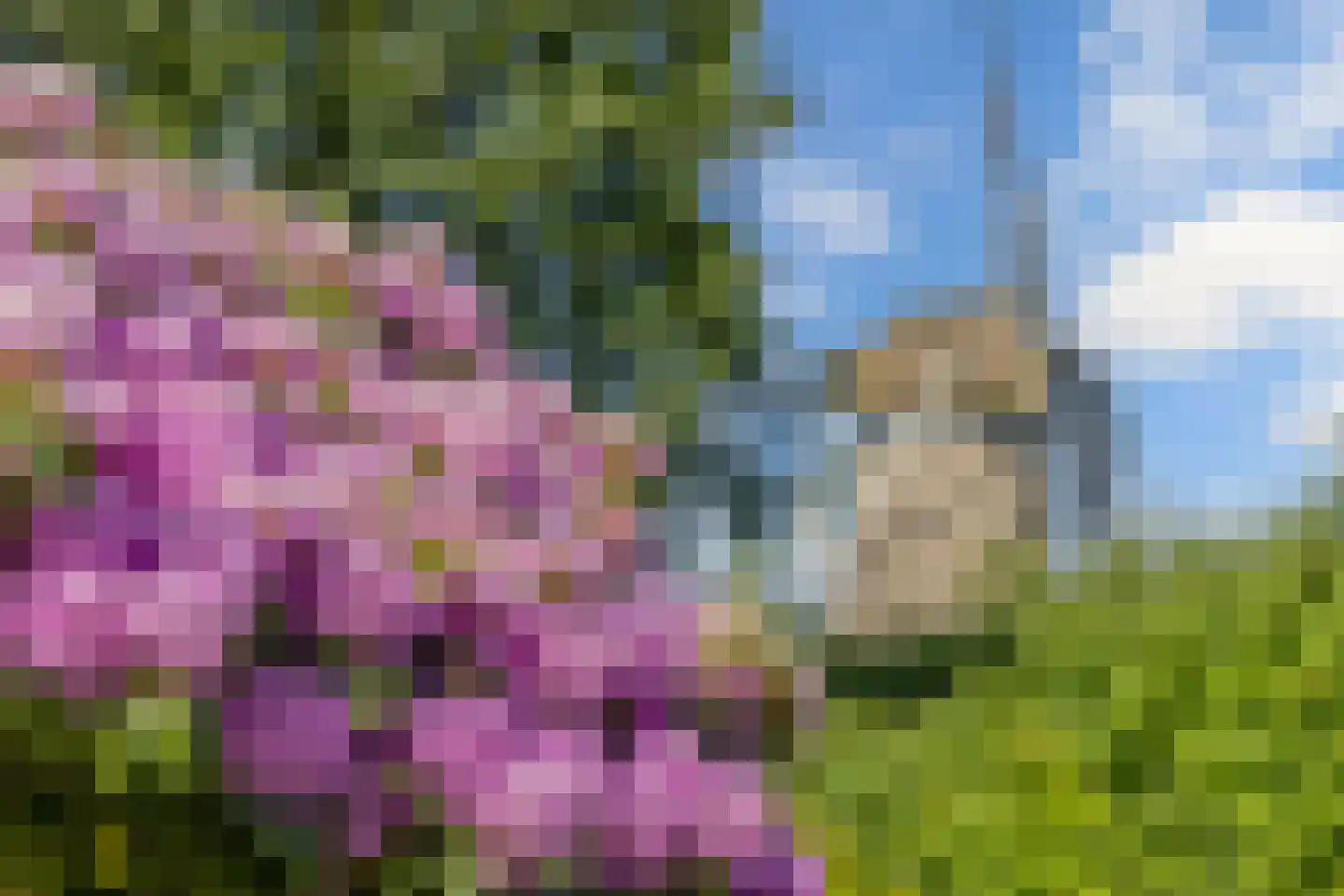 Steenwijkerweg 74 R2 Wolvega thumbnail 20