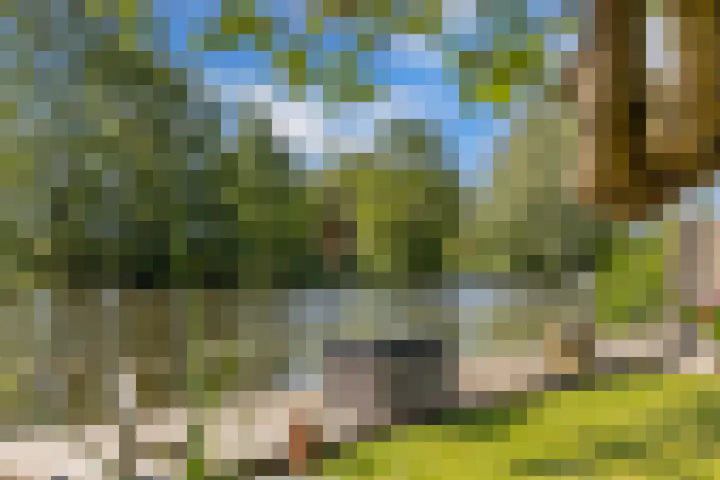 Steenwijkerweg 74 R2 Wolvega thumbnail 22