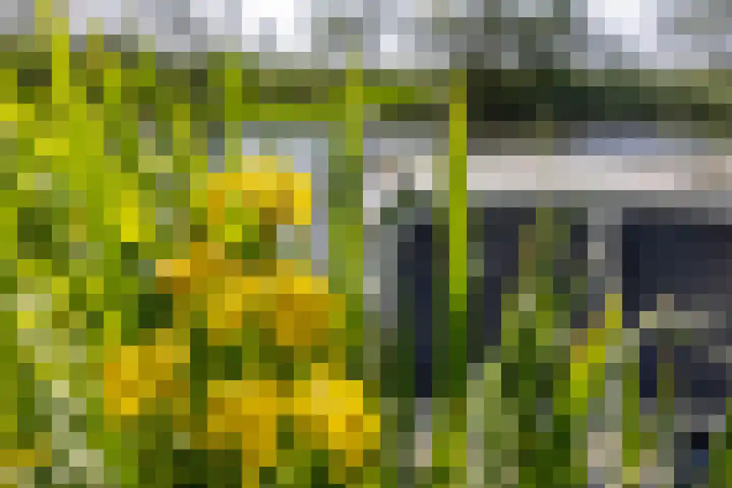 Steenwijkerweg 74 R2 Wolvega thumbnail 23