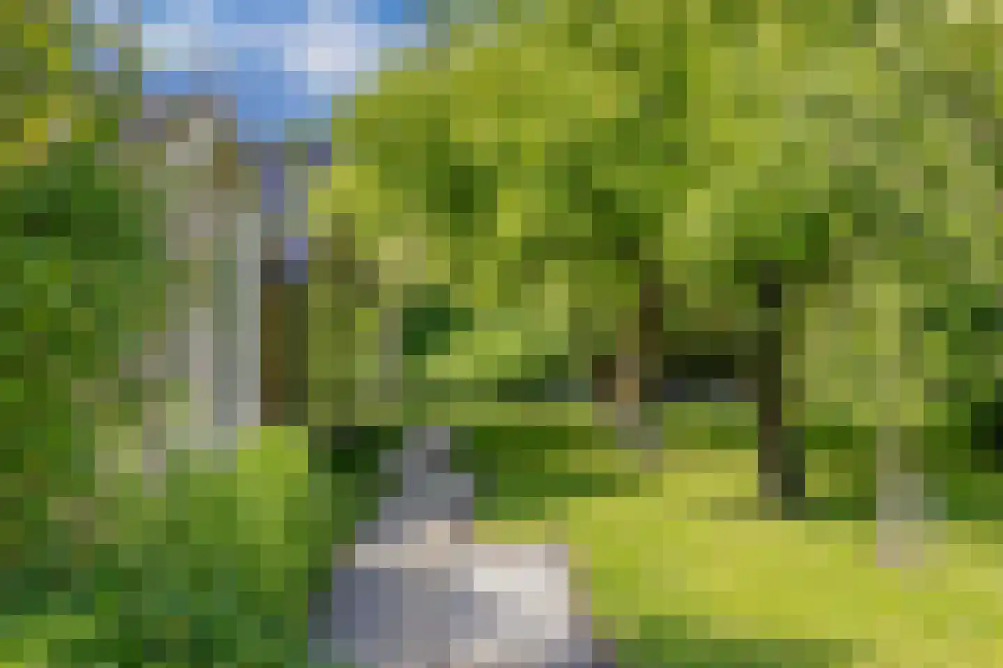Steenwijkerweg 74 R2 Wolvega thumbnail 26