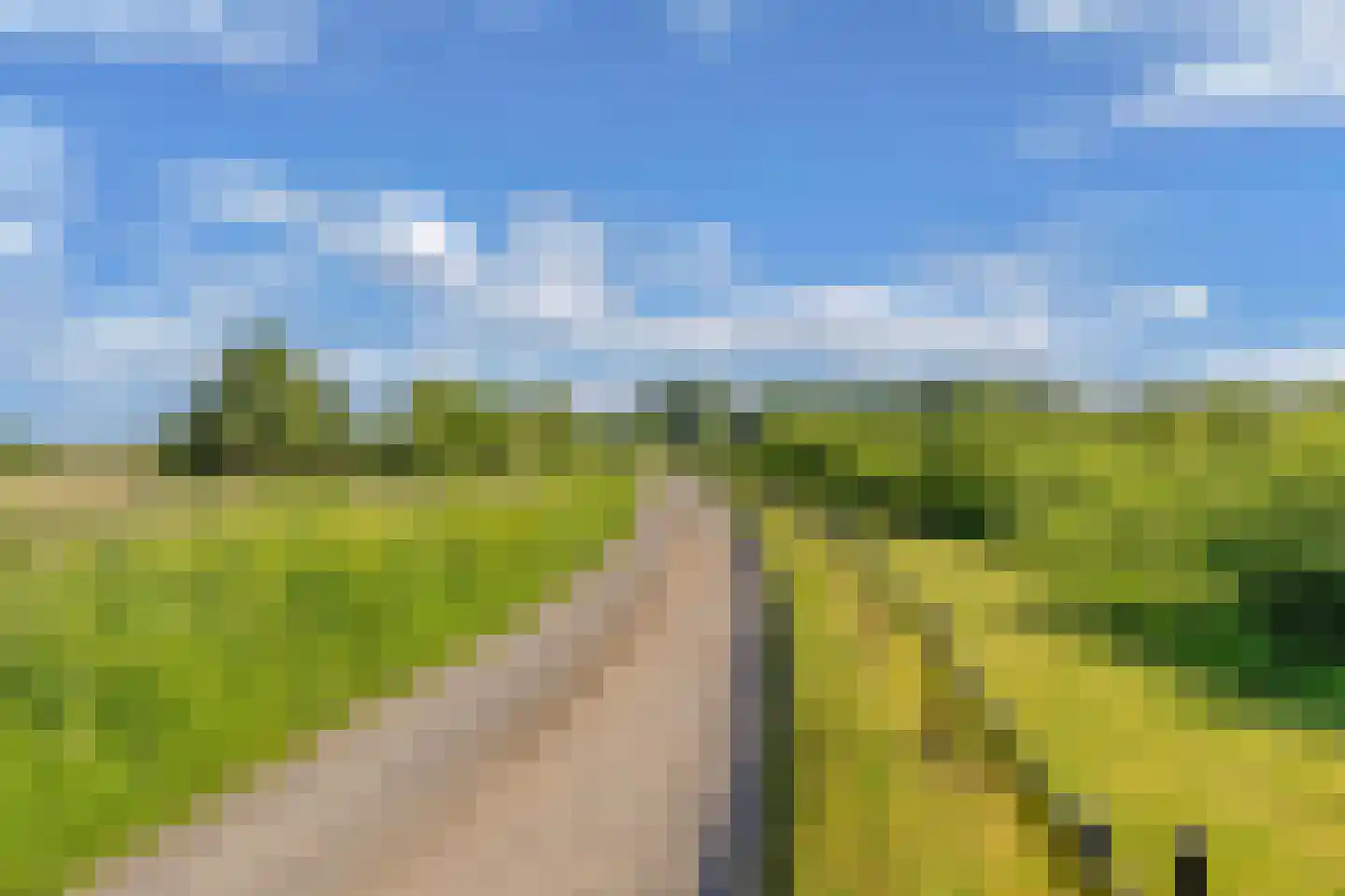 Steenwijkerweg 74 R2 Wolvega thumbnail 27