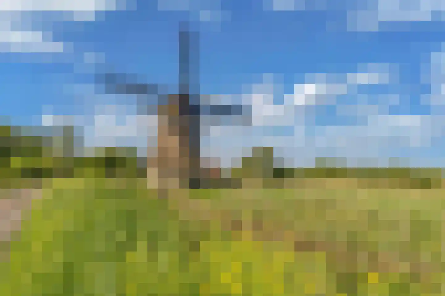Steenwijkerweg 74 R2 Wolvega thumbnail 28