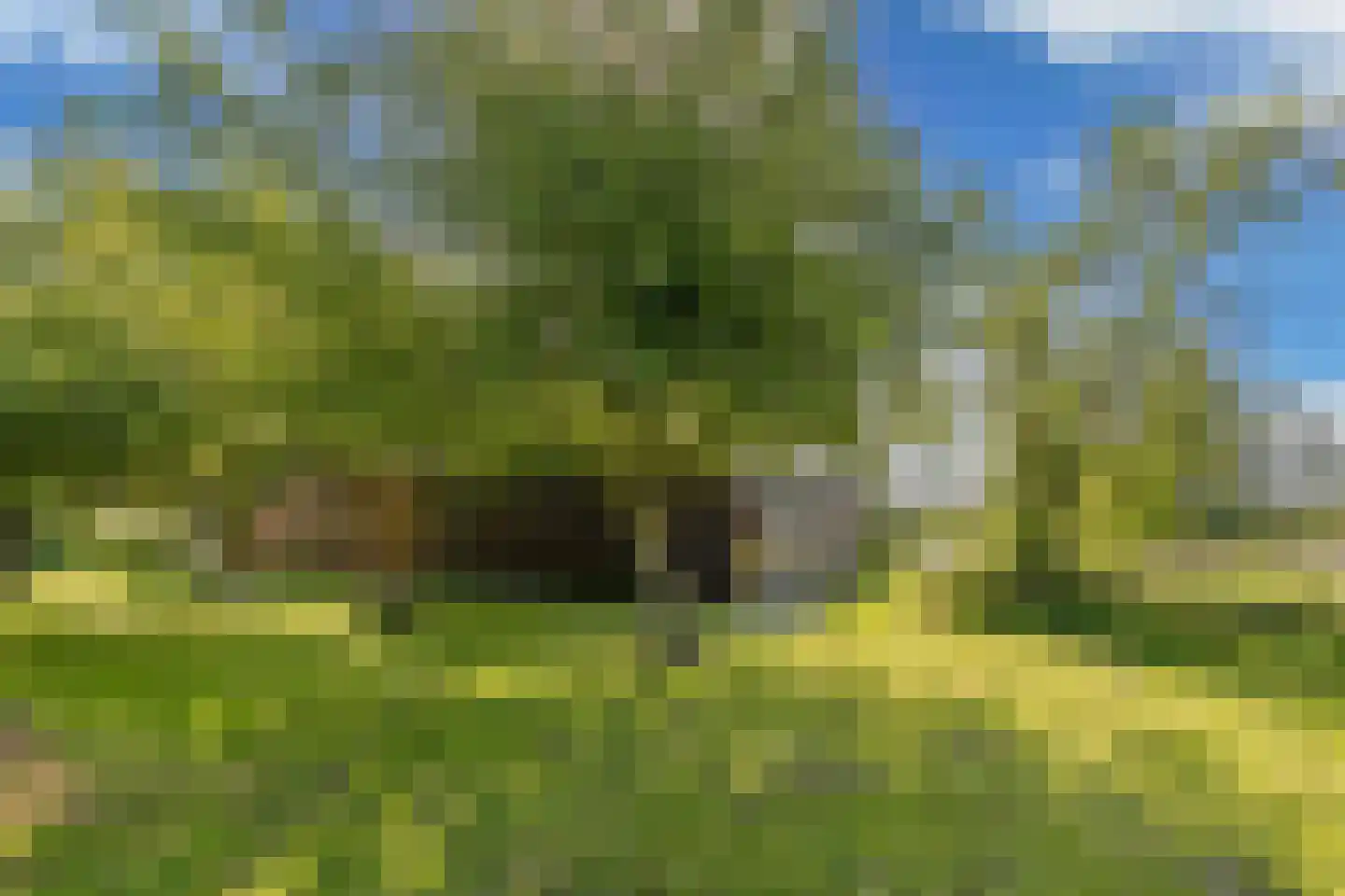 Steenwijkerweg 74 R2 Wolvega thumbnail 4