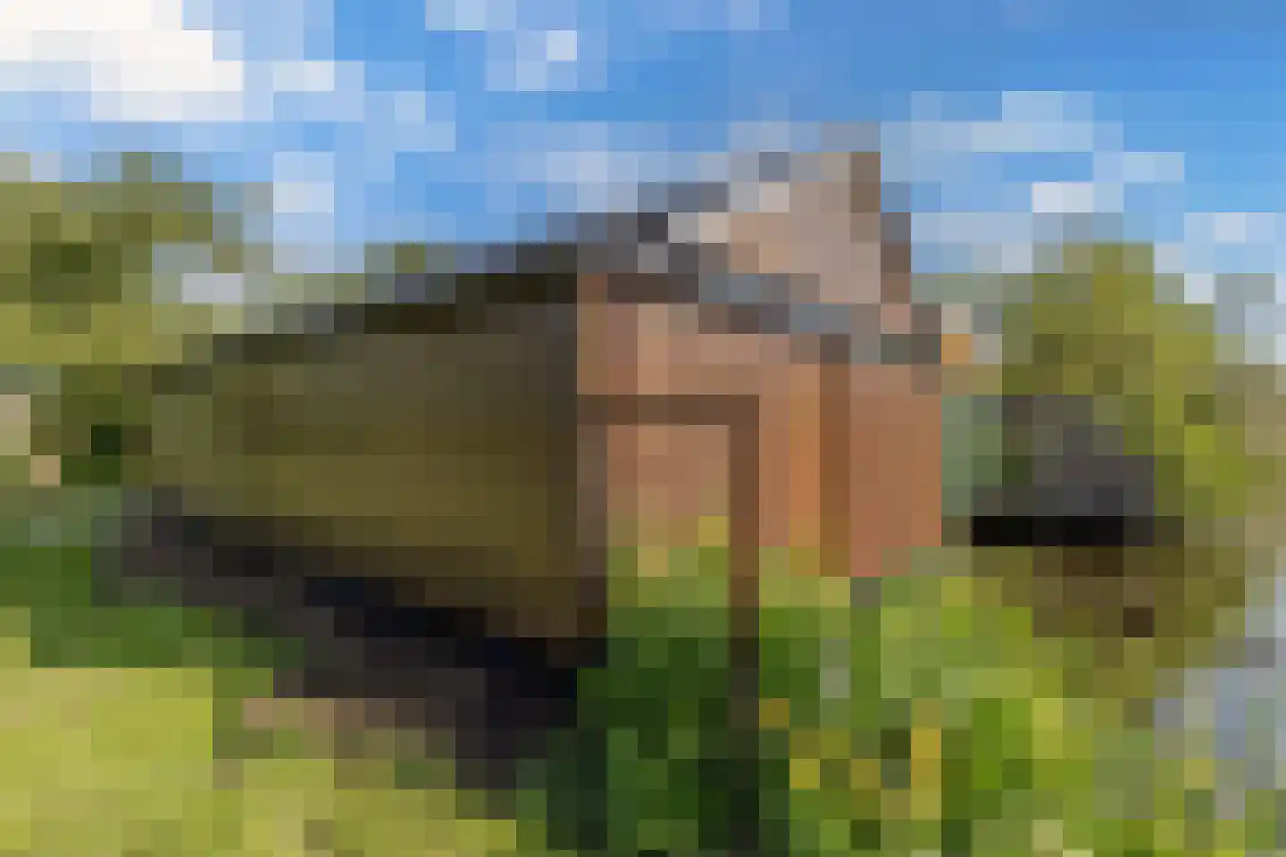 Steenwijkerweg 74 R2 Wolvega thumbnail 5