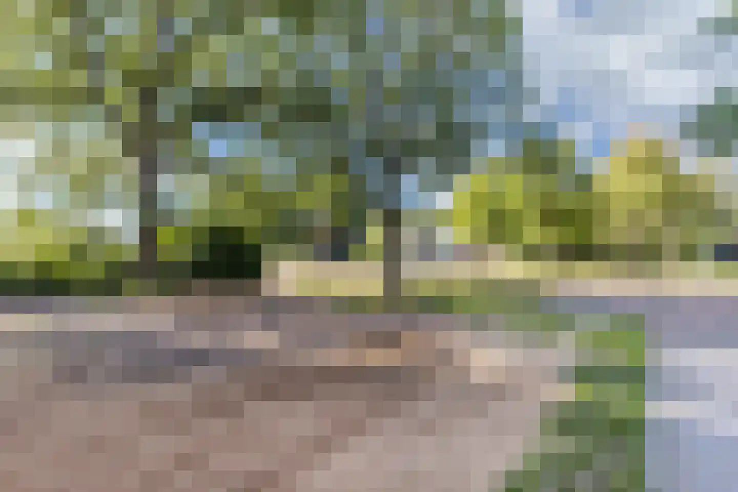 Steenwijkerweg 89 A De Blesse thumbnail 10