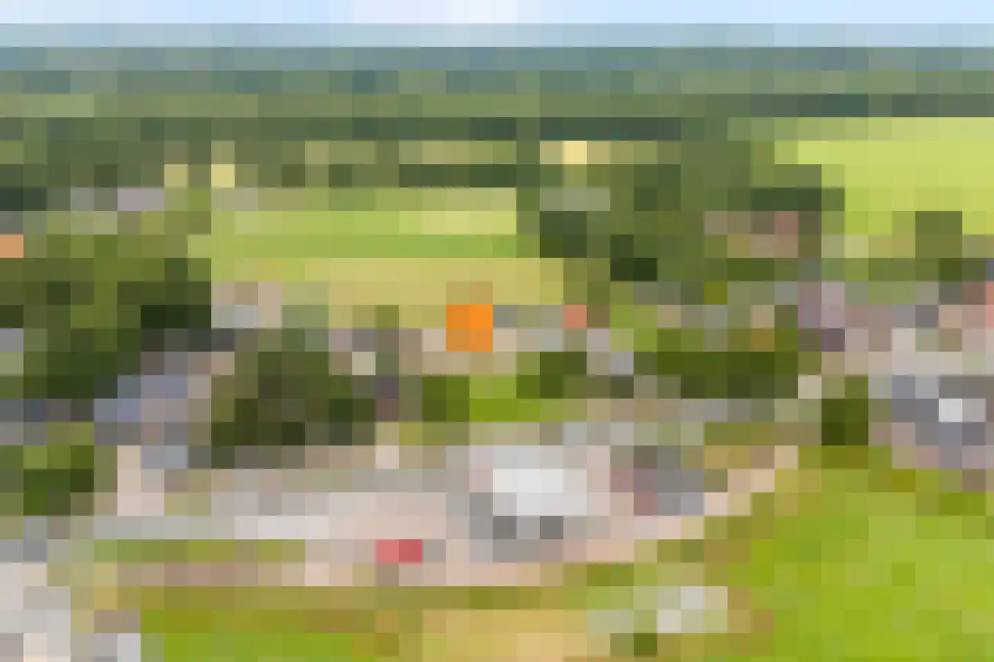 Steenwijkerweg Witte Paarden thumbnail 10