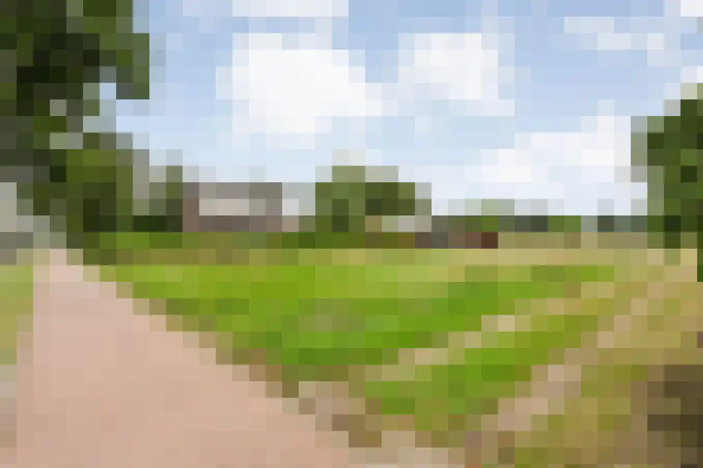 Steenwijkerweg Witte Paarden thumbnail 11