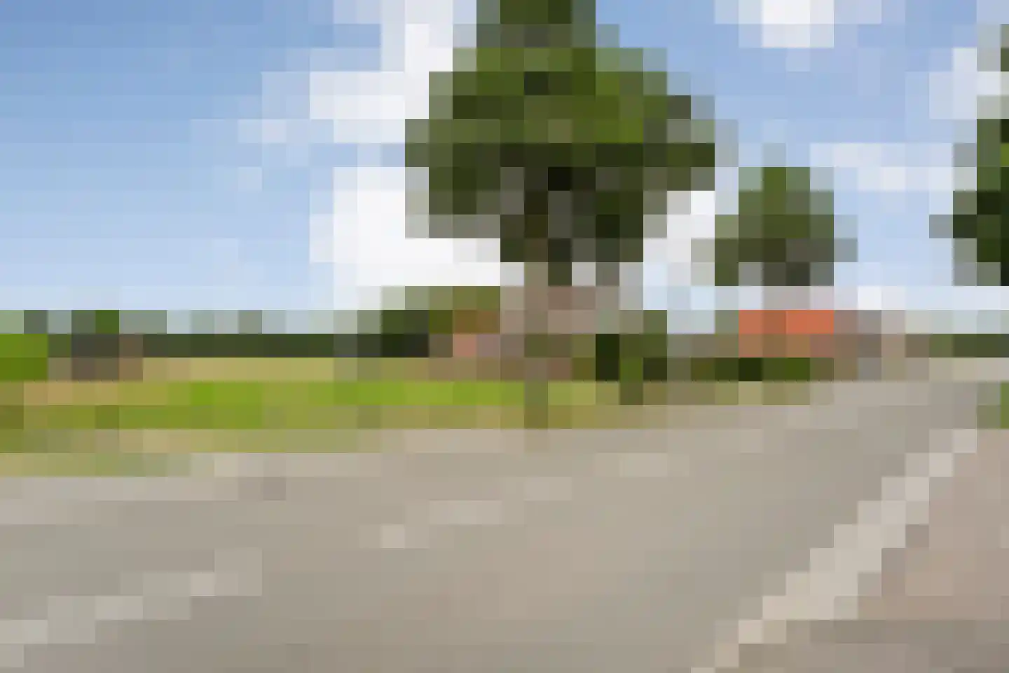 Steenwijkerweg Witte Paarden thumbnail 14