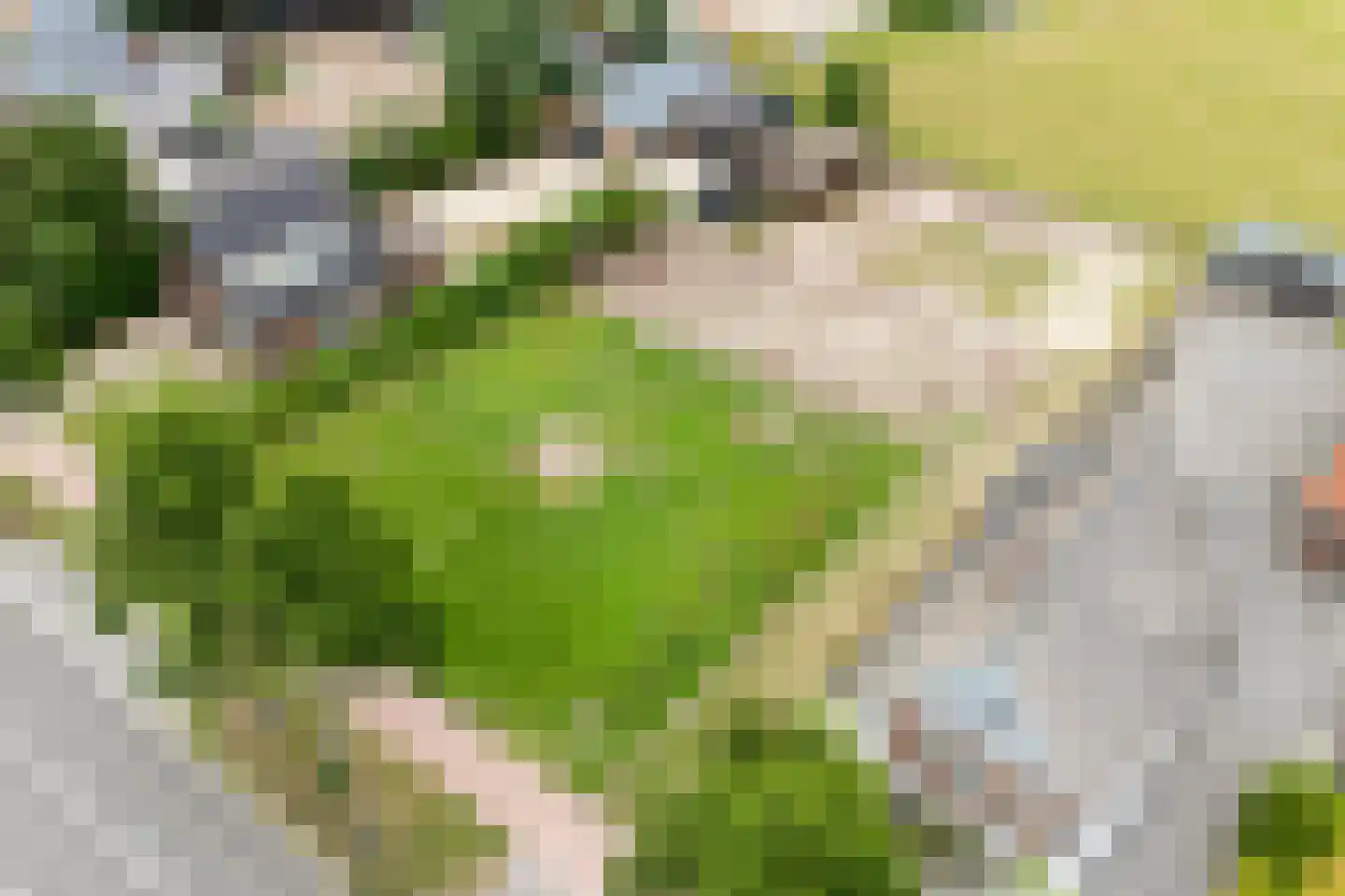 Steenwijkerweg Witte Paarden thumbnail 4