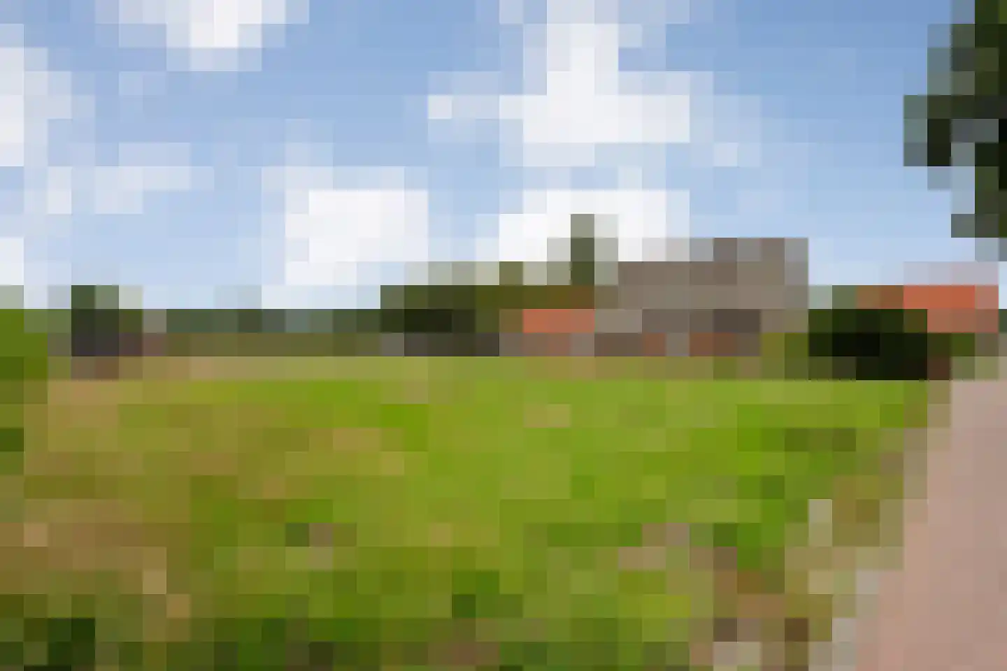 Steenwijkerweg Witte Paarden thumbnail 6