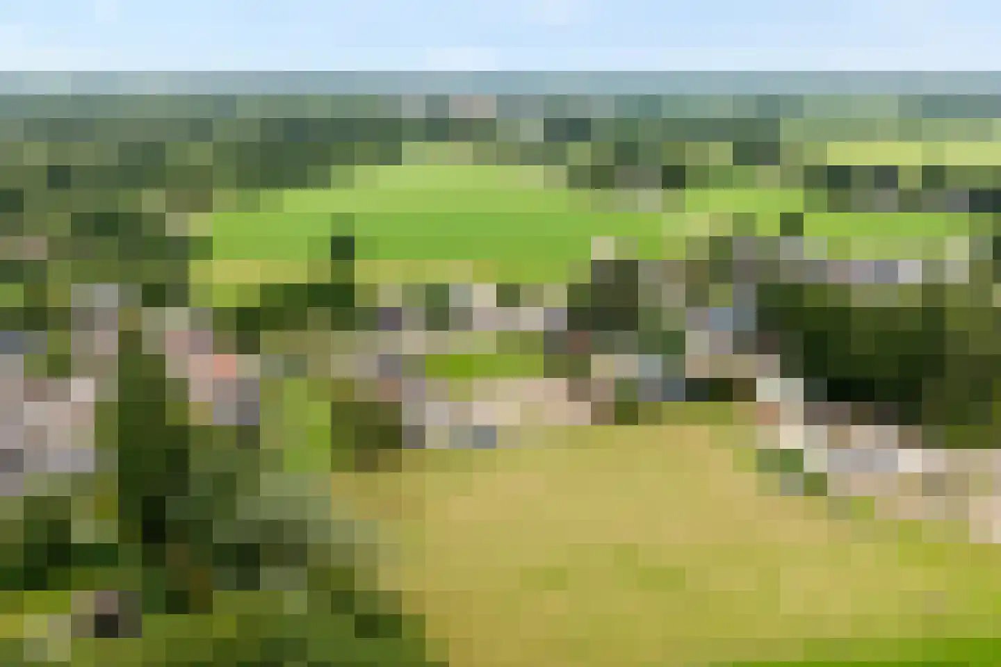 Steenwijkerweg Witte Paarden thumbnail 8