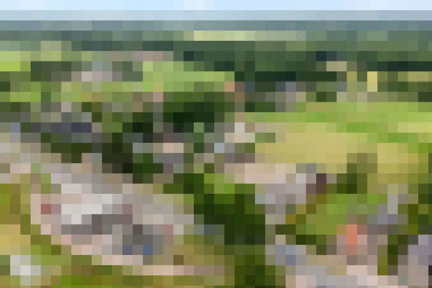 Steenwijkerweg Witte Paarden thumbnail 9